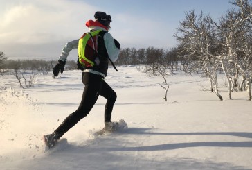 Viikko 6 – Lumihanki 15x 30″/30″