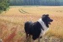 Monipuolisella harjoittelulla saadaan tuloksia aikaan