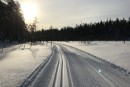 Koronakevät vol2