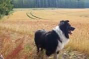 Monipuolisella harjoittelulla saadaan tuloksia aikaan