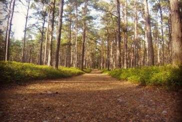 Polkujuoksijoiden kohtaamispaikka