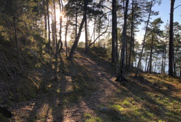 Viikko 20: 20-30min Vauhtikestävyys