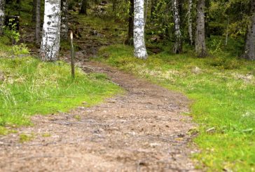 Viikko 22: Hermotuskiihdytykset 7×7 sek ylämäkeen