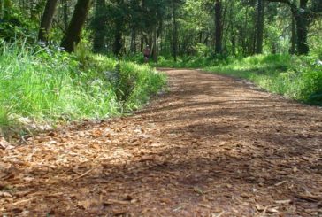 Viikko 19: 4x1km/2min Maksimikestävyys-intervallit