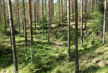 Viikko 24: Suunnista Jukolan viestiin