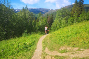 Viikko 42: 15x400m intervallitreeni