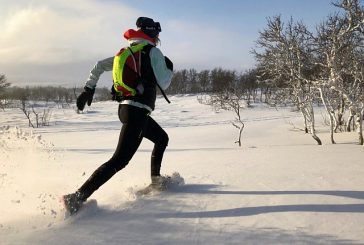 Viikko 2: Umpimähkään, umpihankeen