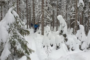 Viikko 5: Voimaa ja vääntöä jalkoihin umpihankihiihdolla