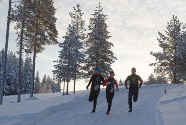 Viikko 6: Nyt isketään!