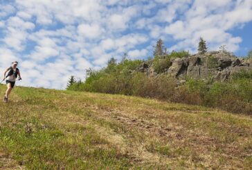 Viikko 23: Tunkkaustreeni alamäkipainotteisesti
